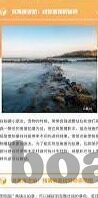 麻豆免费下载app-麻豆免费下载APP，便利、风险与法律边界的探索