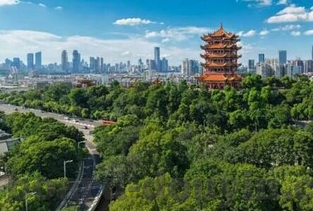 糖心官方下载入口-通往甜蜜的捷径——糖心app官方下载指南